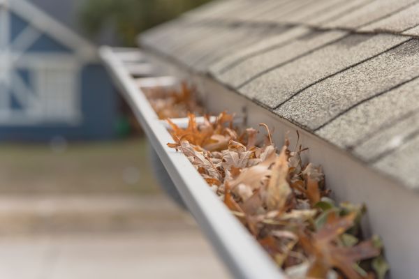 Leaf Barrier Installation in Lynnwood